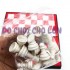 Đồ chơi bàn cờ VUA QUỐC TẾ NHỎ bằng nhựa SIZE 28 x 29 cm