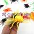 Bộ đồ chơi 12 loài côn trùng bằng nhựa Insect World 661-29