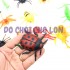 Bộ đồ chơi 12 loài côn trùng bằng nhựa Insect World 661-29
