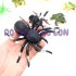 Bộ đồ chơi 8 loài côn trùng bằng nhựa Insect SET 929-79