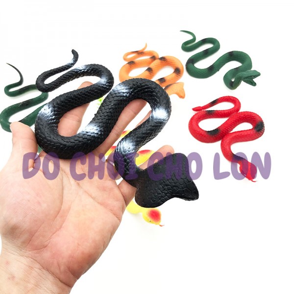 Mua Mô hình con rắn đồ chơi bằng cao su độc đáo cho bé  Giao màu ngẫu  nhiên tại tongkhoxuantruong  Tiki