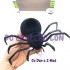 Hộp đồ chơi con nhện điều khiển từ xa có đèn Z2113
