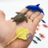 Bộ đồ chơi 33 loài sinh vật biển mini bằng nhựa Marine Animals