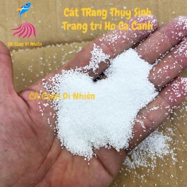 Bịch CÁT TRẮNG THỦY TINH 500 Gram trang tri hồ cá cảnh