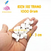 Bịch sỏi TRẮNG 1 KG size 2 - 3 cm trang trí hồ cá cảnh