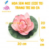 Hoa sen thả nổi mặt nước Size To trang trí hồ cá cảnh