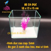 Bể kính đúc mini để bàn 2 cạnh uốn cong, hồ nuôi cá size 18x13x15 cm