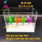 Bể kính đúc mini để bàn 2 cạnh uốn cong, hồ nuôi cá size 30x19x21 cm