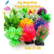 Mô hình cây rong ĐẾ ĐÁ Thủy Sinh 21 cm trang trí hồ cá cảnh nhiều mẫu