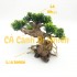 Cây lũa bonsai ghép lá nhựa giả trang trí hồ bể cá