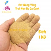 Cát nắng vàng hạt mịn 1Kg trải nền trang trí hồ cá cảnh thủy sinh