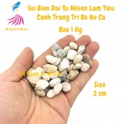 Sỏi biển tự nhiên Đại 1 Kg làm tiểu cảnh trang trí hồ cá