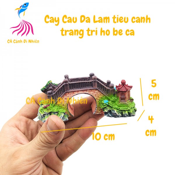trang trí tiểu cảnh giá tốt Tháng 4 2023 Ngoài trời  Sân vườn  Mua ngay  Nhà Cửa  Đời Sống  Shopee Việt Nam
