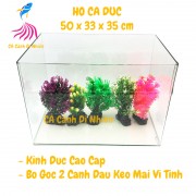 Hồ kính đúc nuôi cá thủy sinh 2 cạnh uốn cong bể size 50x33x35 cm