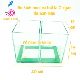 Hồ bể kính mini ĐÔI 2 ngăn để bàn nuôi cá Betta size 14x12x20 cm