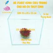 Bể cubic 25x25x25 cm kính siêu trong - Hô nuôi cá thủy sinh