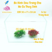 Bể kính SIÊU TRONG 30x17x20 cm - Hô kiếng nuôi cá cảnh thủy sinh