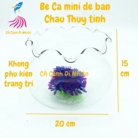 Chậu thủy tinh, bể cá mini để bàn tròn tai bèo size 20 x 15 cm HB02
