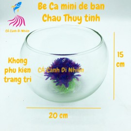Chậu thủy tinh, bể cá mini để bàn TRÒN size 20 x 15 cm HT02