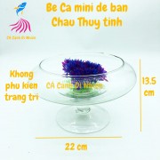 Chậu thủy tinh, bể cá mini để bàn CHÂN DĨA size 13.5 x 22 cm DC02