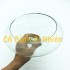 Chậu thủy tinh, bể cá mini để bàn CHÂN DĨA size 13.5 x 22 cm DC02
