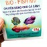 Men tiêu hóa Mai Việt Bio - Fish MV gói 10 gram cho cá cảnh