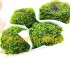 Đá bám rêu Minifiss trãi nền lá nước trang trí hồ cá thủy sinh size 7-10 cm