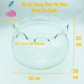 Chậu thủy tinh, hồ cá để bàn tròn tai bèo size 30x28x20 cm HB-D