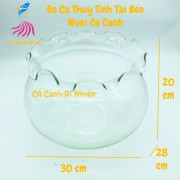 Chậu thủy tinh, hồ cá để bàn tròn tai bèo size 30x28x20 cm HB-D