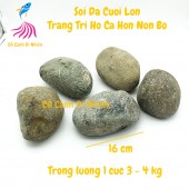 Sỏi đá cuội lớn 15 cm tự nhiên trang trí hồ cá cảnh hòn non bộ - Đá cuội Đại