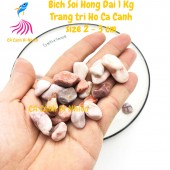 Bịch sỏi HỒNG ĐẠI 1 KG size 2 - 3 CM trang trí hồ cá cảnh